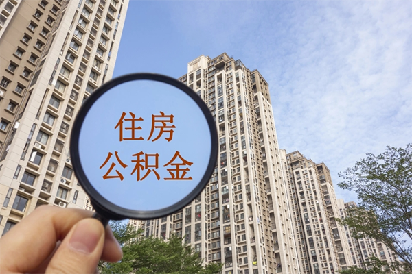 哈尔滨公积金代取（哈尔滨公积金提取中介）